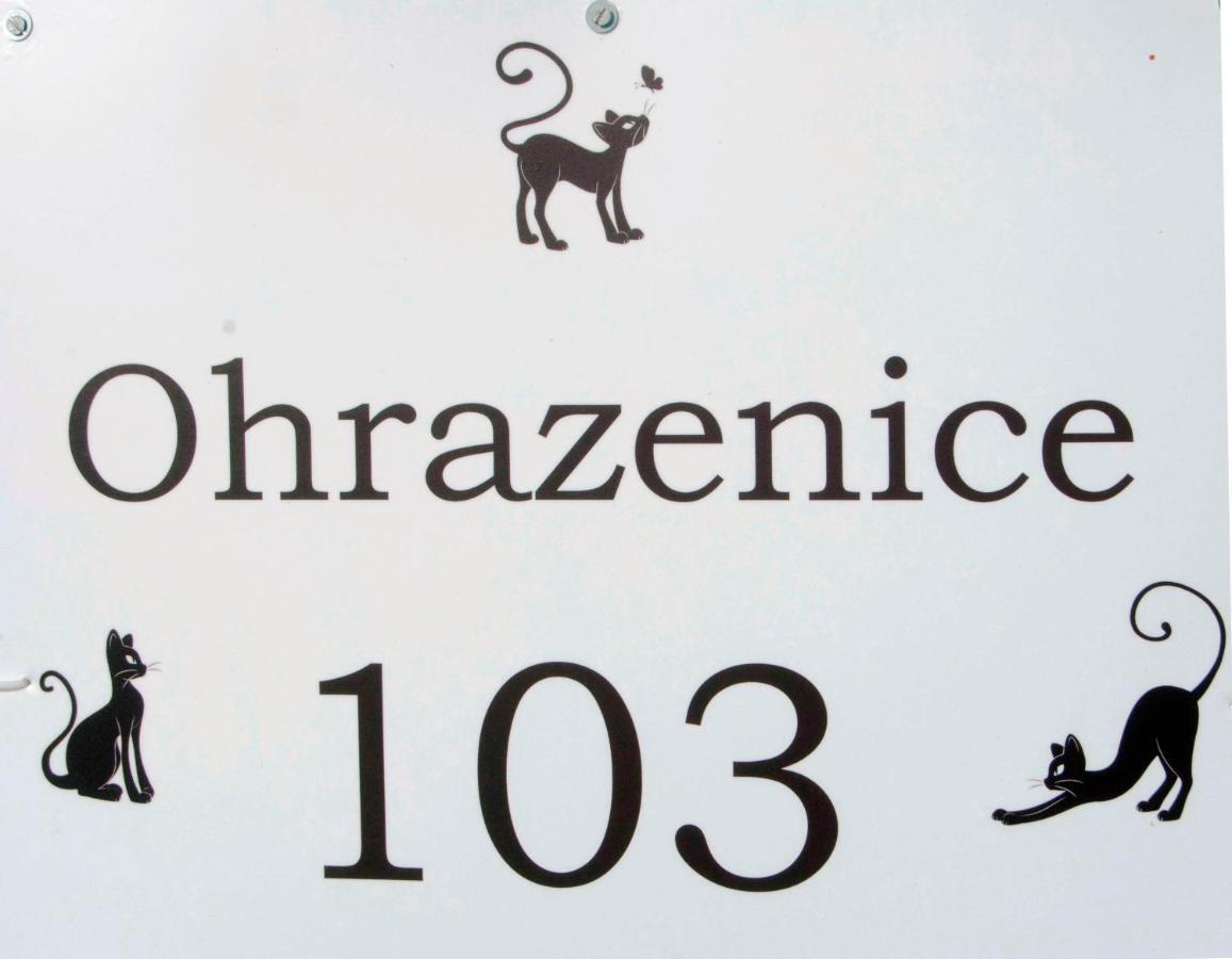 Ohrazenice 103 تورنوف المظهر الخارجي الصورة